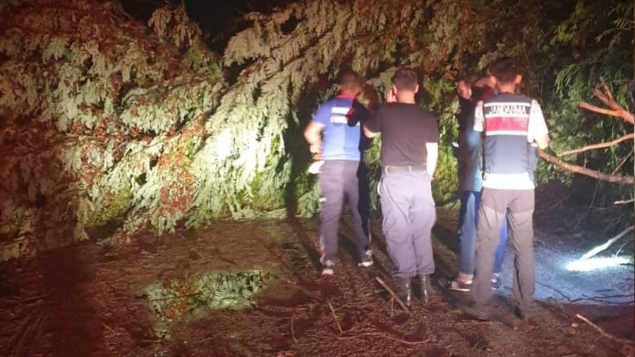 iddetli rzgarda aalar yola devrildi