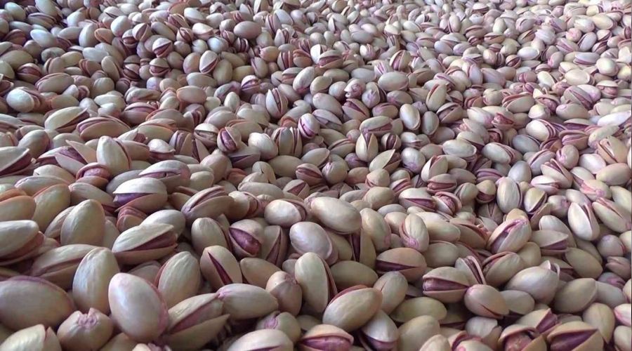 Siirt'ten Çin'e yarım milyon dolarlık fıstık ihracatı yapıldı