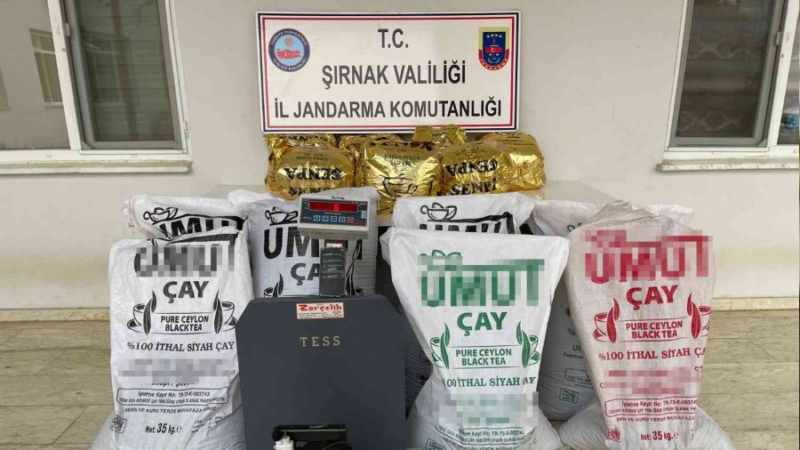 ��rnak'ta ter�r operasyonu: 148 g�zalt�