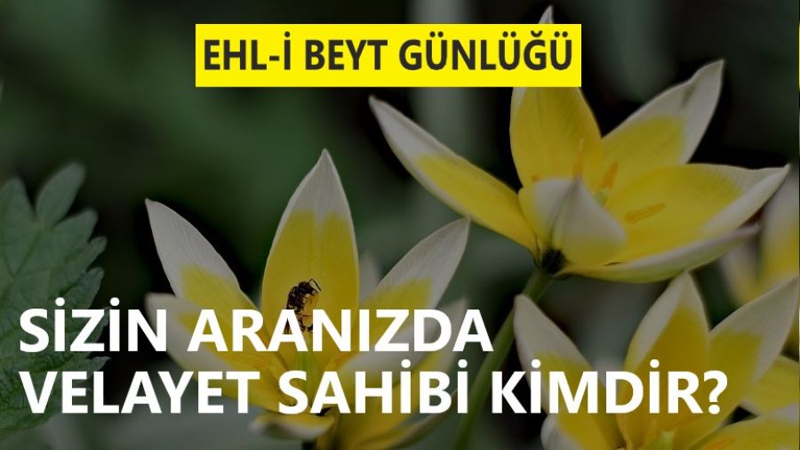 Sizin aranızda velayet sahibi kimdir?