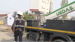 Sokak lambaları kuşlara yuva oldu