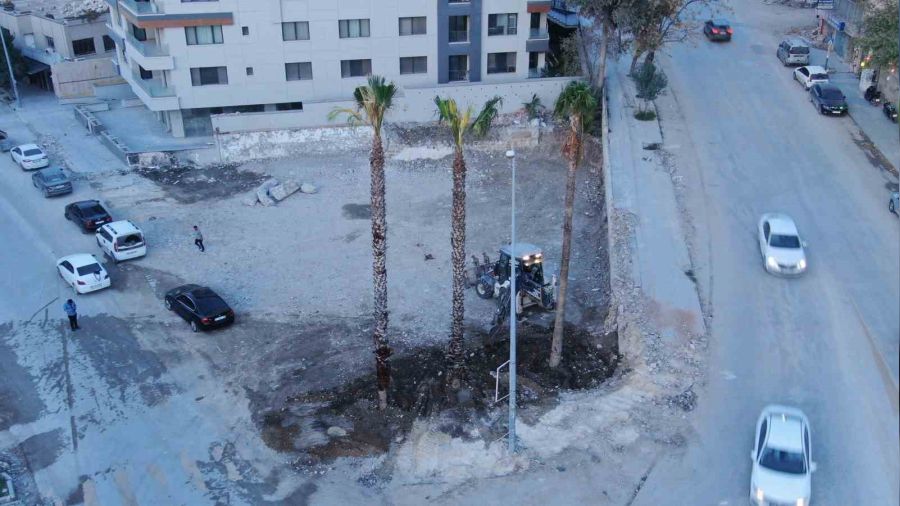 S�k�len a�a� pahal�ya patlad�, yerine 2 bin 103 a�a� diktiler