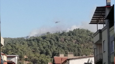 Soma'da orman yangn