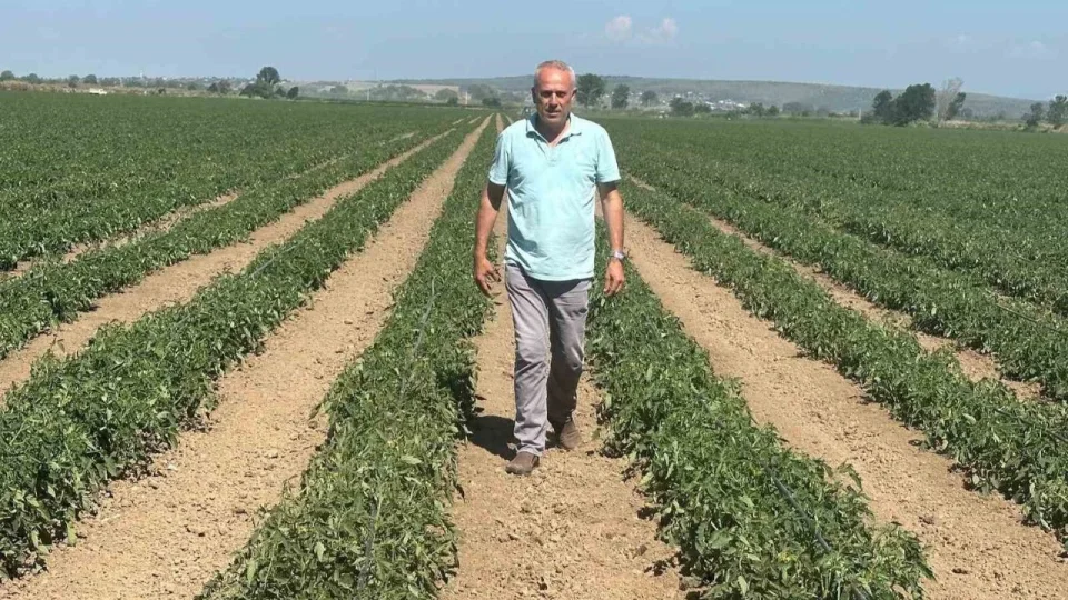 S�zle�me yapt��� firma �r�n� almay�nca 20 milyon lira zarar etti