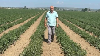 S�zle�me yapt��� firma �r�n� almay�nca 20 milyon lira zarar etti