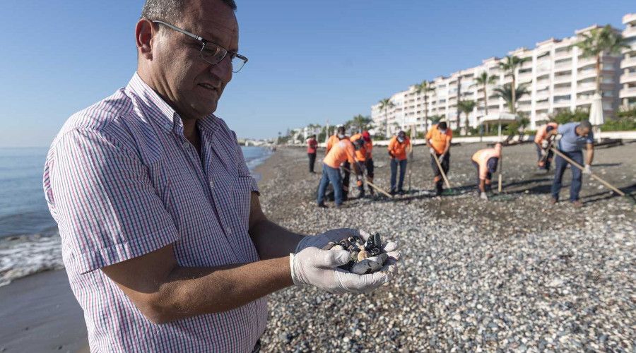 Suriye kaynakl� petrol at�klar� bu kez Erdemli'de g�r�ld�