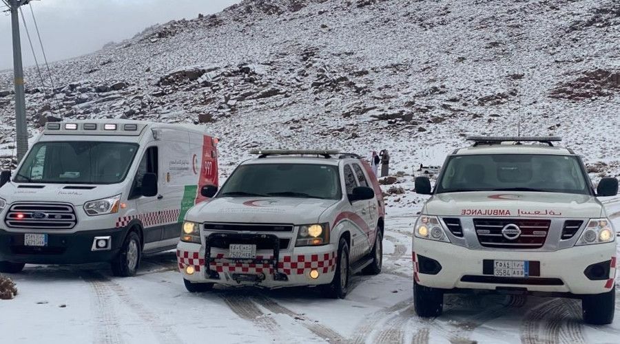 Suudi Arabistan'da kar sevinci