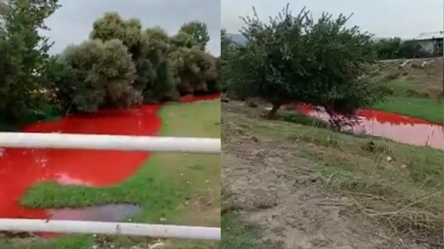 Tarım ilacı karışan derenin rengi kırmızıya döndü