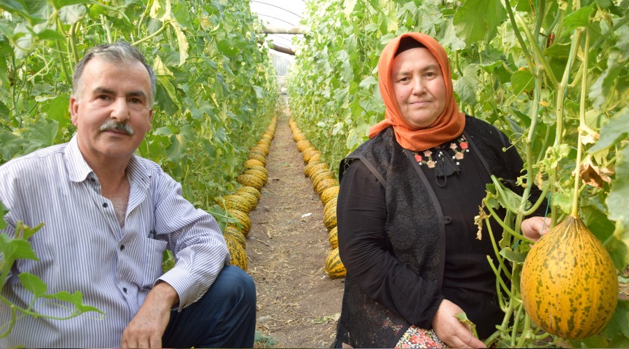 Tarımda çalışanlar yaşlanıyor