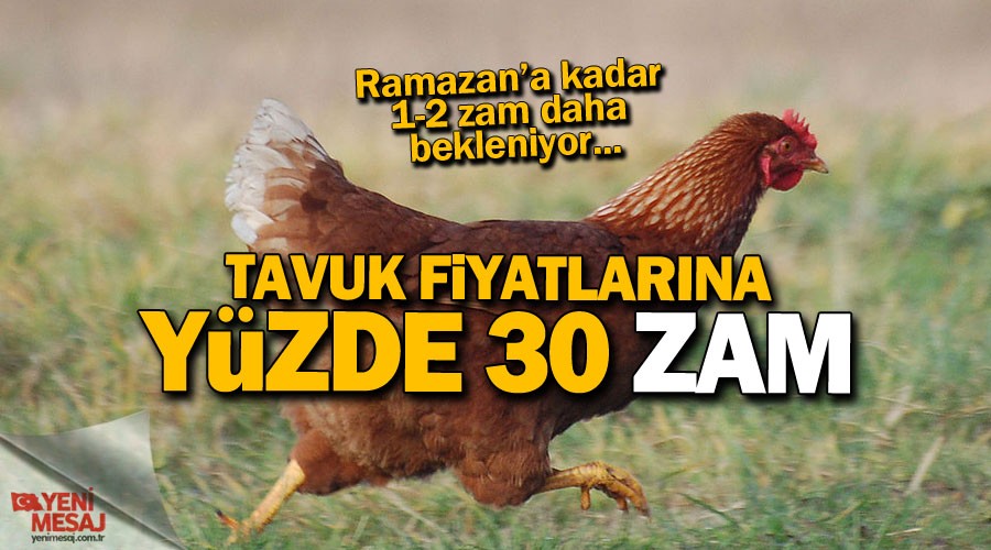 Tavuk fiyatlarna yzde 30 zam