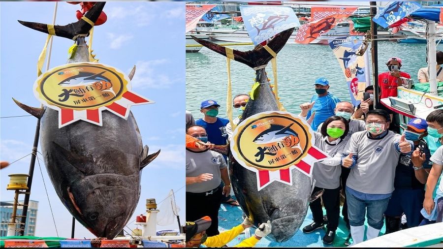 Tayvan'da dev ton bal��� rekor fiyata sat�ld�