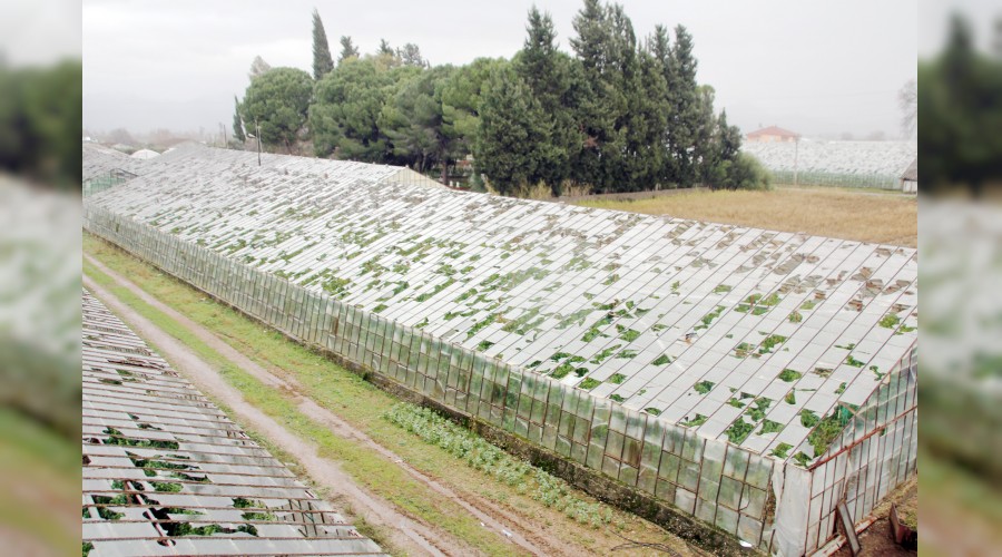 Teknolojik sera el yak�yor