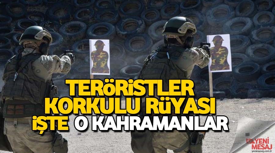 Ter�ristlere g�z a�t�rm�yorlar