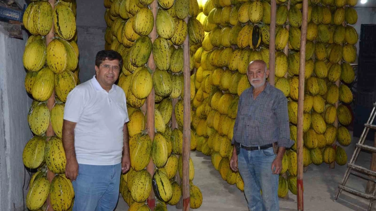 Tescilli Kırkağaç kavunları kış sofraları için askıya alınıyor