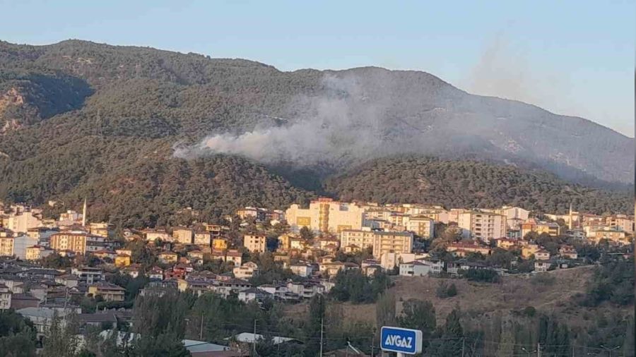 Tokat'ta orman yangını kontrol altına alındı