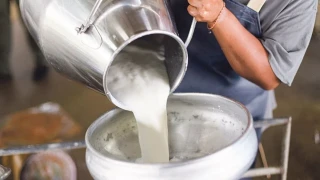 Toplanan inek sütü miktarı mayısta 1.2 milyon ton oldu