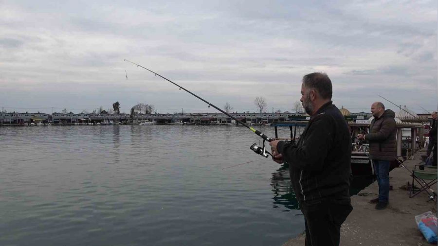 Trabzon'daki balık kafeslerinden kaçan somonlar Rizeliler'in yüzünü güldürüyor