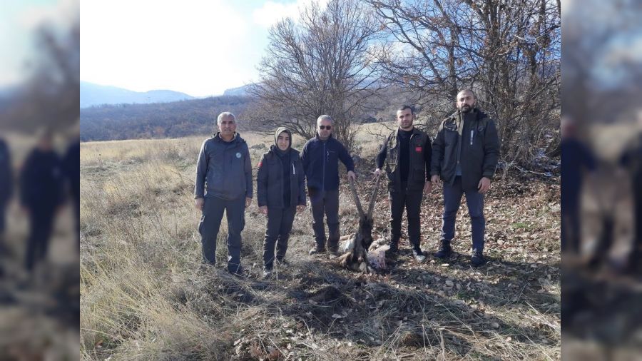 Tunceli'de yaban keçisi öldüren 4 kişiye ceza