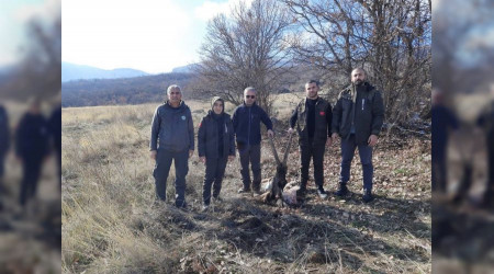 Tunceli'de yaban keçisi öldüren 4 kişiye ceza