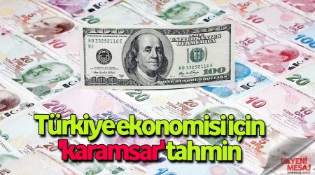 Türkiye ekonomisi için 'karamsar' tahmin