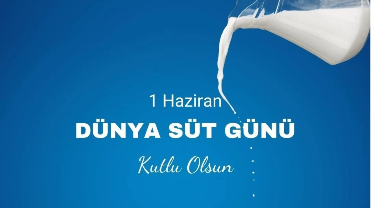 'Türkiye süt kalitesinde istenilen noktada değil'
