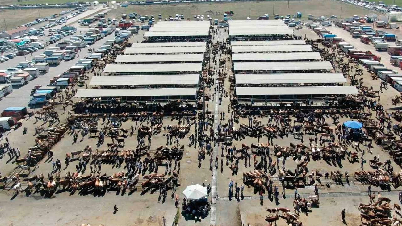 Trkiye'nin en byk hayvan pazar yeniden alyor