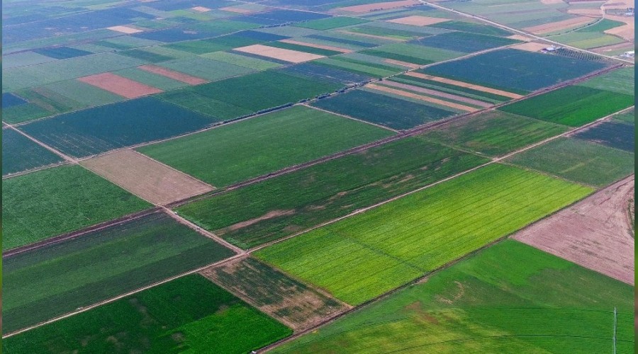 'Türkiye'nin geleceği tarım ve tarıma dayalı sanayide'
