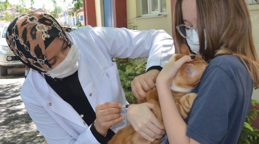 Ücretsiz aşı kampanyası yoğun ilgi gördü