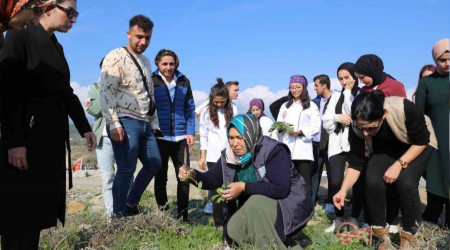 Üniversite öğrencilerine geleneksel tarım ve yenebilir otlar öğretildi