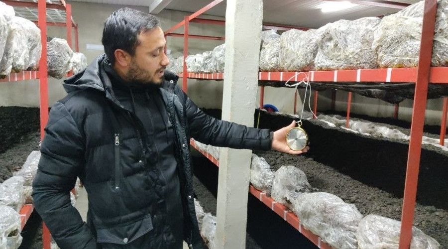 �niversiteden mezun oldu, mantar �retimine ba�lad�