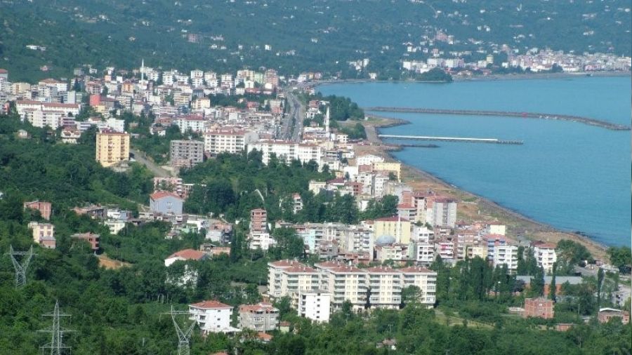 Vakfıkebir'de 2 adet taşınmaz satılacak