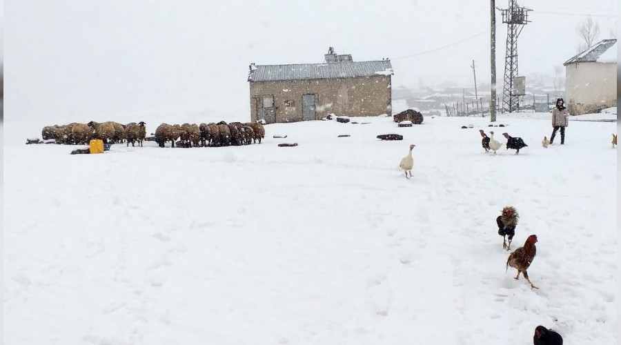 Van'da kar s�rprizi