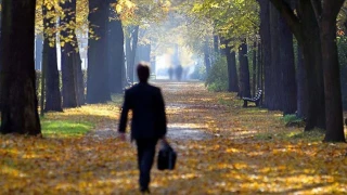 Yalnızlık pek çok hastalığı tetikliyor