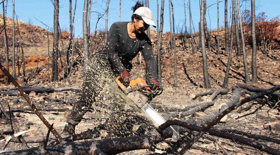 Yanan sahalara kad�n eli