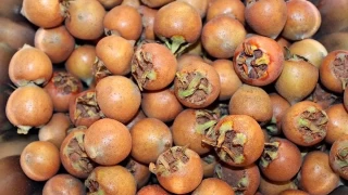 Yresel lezzet geri dnyor: Mumula Turusu 