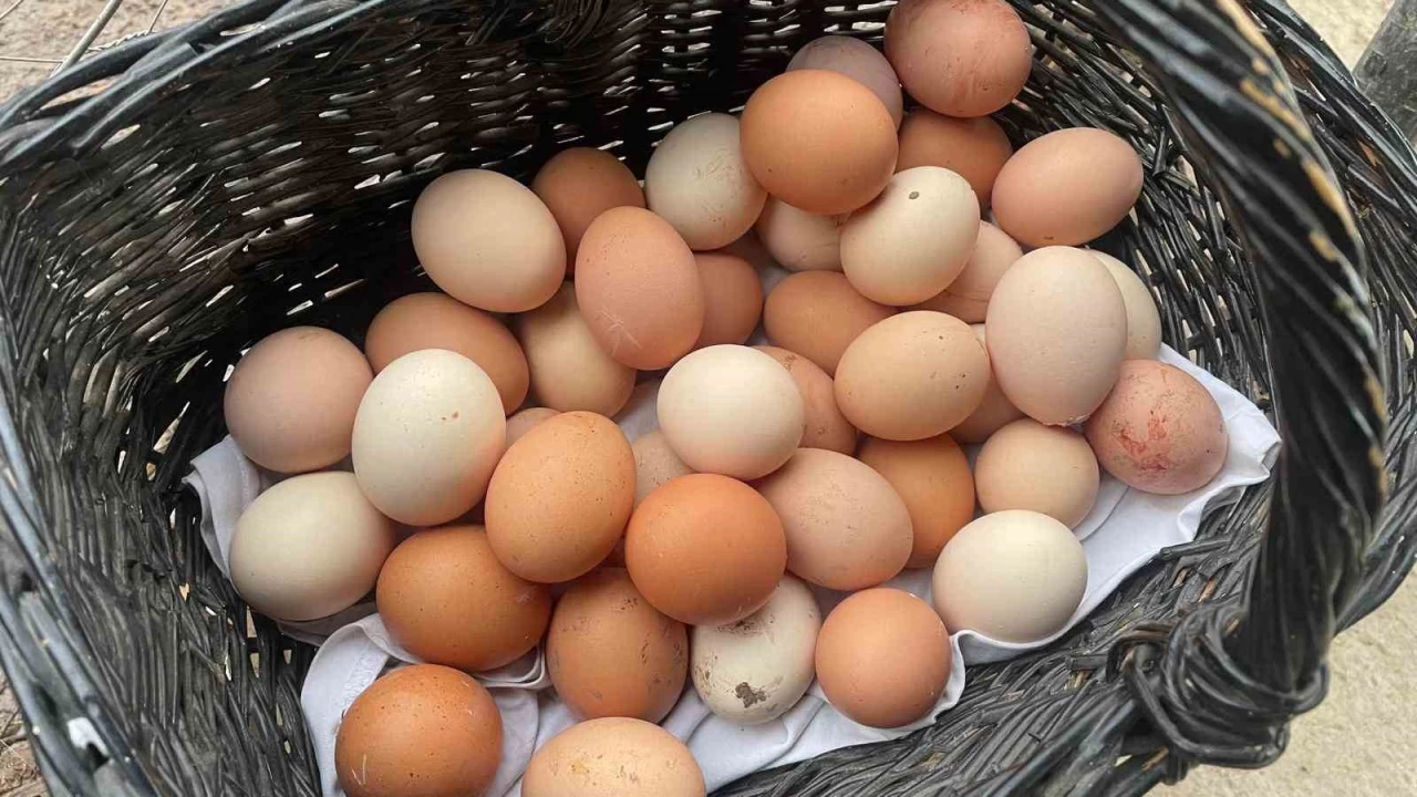 Yumurtadaki fahi� fiyatlar ABD y�z�ndenmi�! �yle diyorlar...