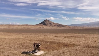 Yüzlerce kuş türüne ev sahipliği yaparken kuraklığa yenik düştü