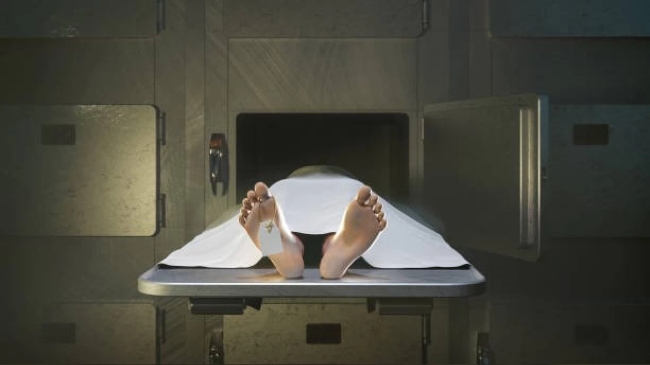 Zani ka�arken balkondan d��erek �ld�