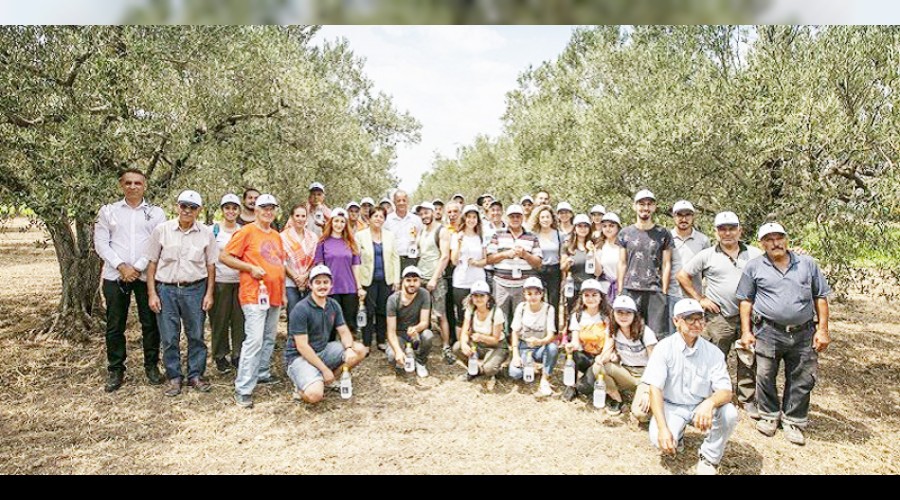 Zeytin aalarna niversiteli korumas!