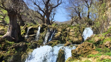 3 asrlk aalar kartpostal gibi