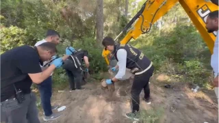 7 yldr kayp yabanc uyruklu kadn cinayete kurban gitmi