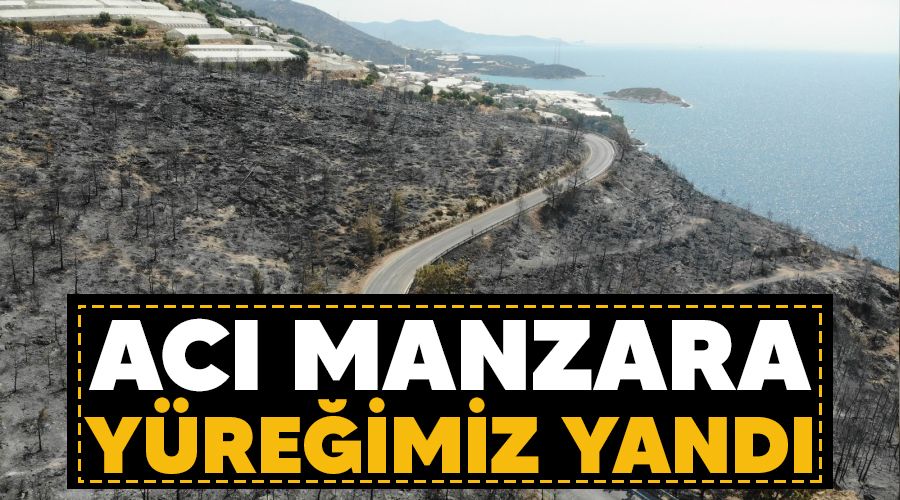 Acı manzara, yüreğimiz yandı