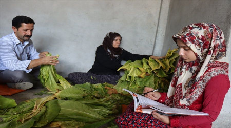 Adıyamanlı Hatice Ünlü'yü Tarladan Tıp fakültesine götüren yol