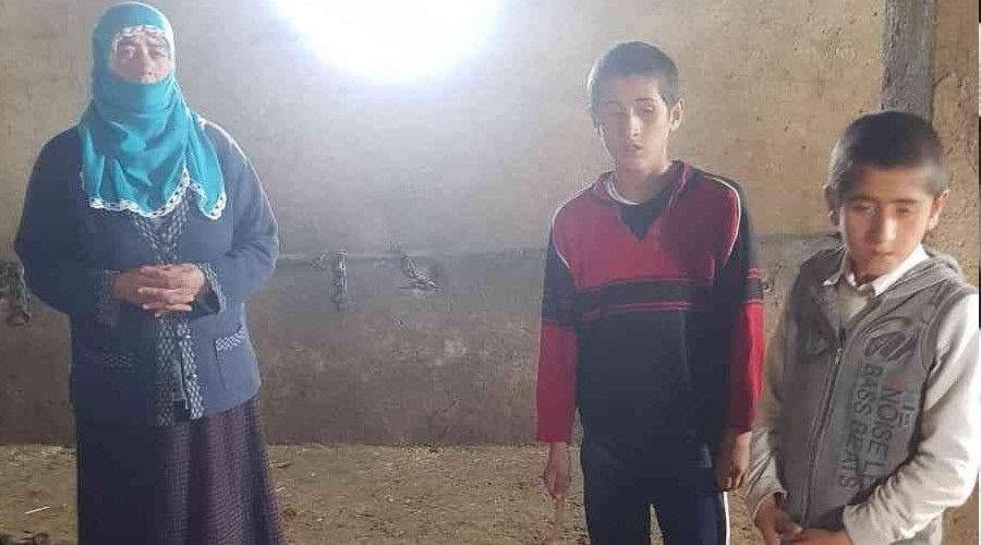 A�r�'da ah�ra giren h�rs�zlar 10 b�y�kba� hayvan� �ald�