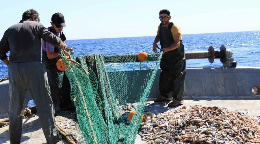 'Akdeniz'i nadasa bırakalım'