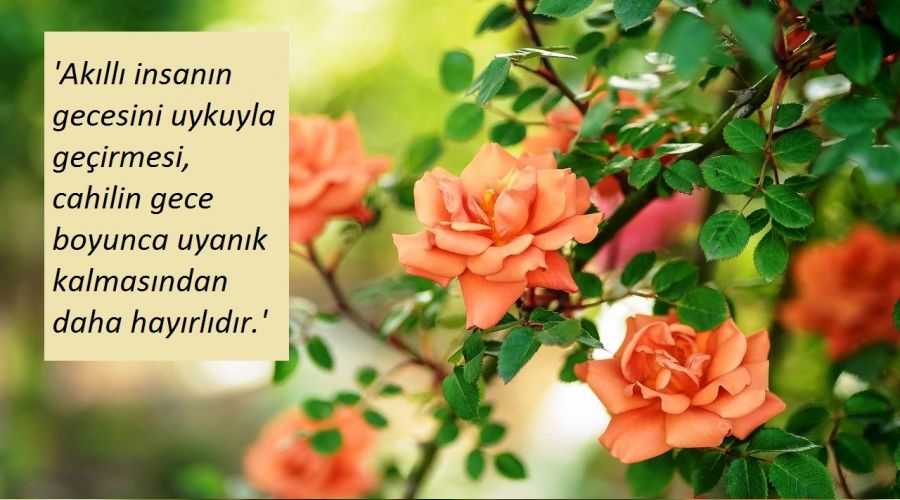 Akıl, Allah'ın en büyük nimeti