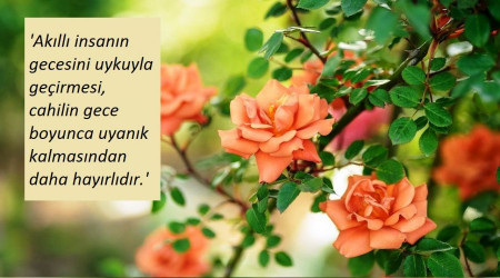 Akıl, Allah'ın en büyük nimeti