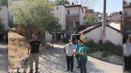 Akrep ve yılanlar eve dadandı