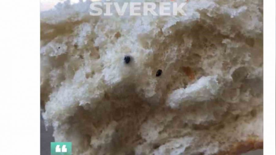 Ald��� ekmekten fare pisli�i ��kt�, f�r�n hakk�nda jet i�lem yap�ld�