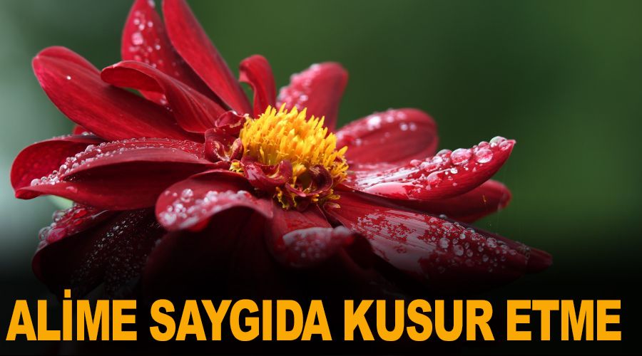 �lime sayg�da kusur etme